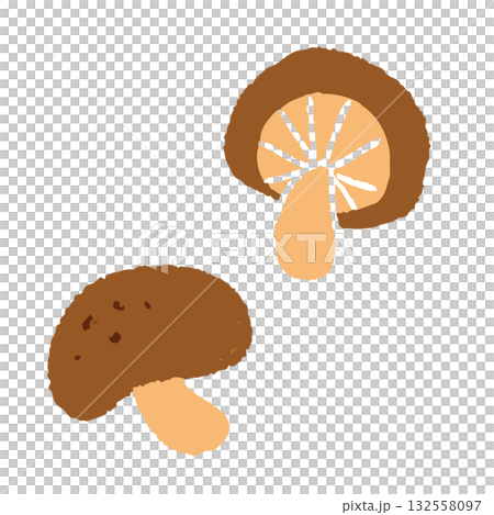 手描きの可愛い椎茸のイラスト 132558097