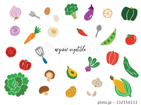 お洒落な手描きの野菜のイラストセット お洒落な手描きの野菜のイラストセット 132558113