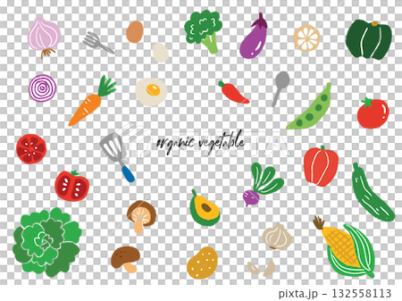 お洒落な手描きの野菜のイラストセット お洒落な手描きの野菜のイラストセット 132558113