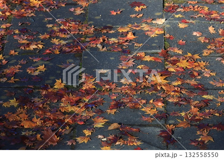 石畳に落ちたカラフルな落葉 132558550