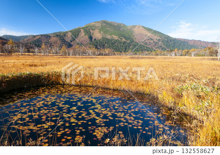群馬県片品村尾瀬ヶ原から望む池塘と至仏山 132558627