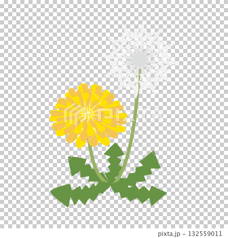 タンポポと綿毛のイラスト 132559011
