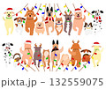 サンタハットとマフラーをつけたクリスマスの犬たち、前からと後ろから サンタハットとマフラーをつけたクリスマスの犬たち、前からと後ろから 132559075