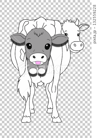 Cow birth Cow birth 132559228
