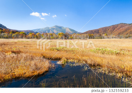 群馬県片品村尾瀬ヶ原から望む至仏山と池塘 132559233