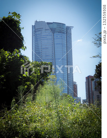 青山霊園から見る六本木ヒルズ 132559308