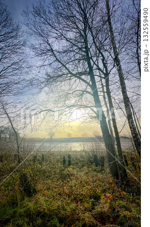 A peaceful and serene sunset casting beautiful colors behind trees located by the water 132559490