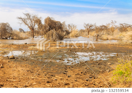 View of Lake Manyara National Park in Tanzania 132559534
