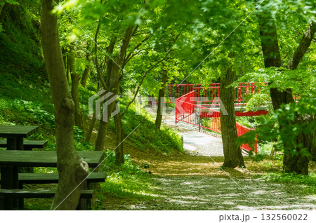 「もみじ谷」の新緑(三重県 四日市市 水沢町) 「もみじ谷」の新緑(三重県 四日市市 水沢町) 132560022