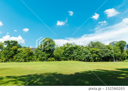 Public park in modern green city, Metro greenery space for clear ozone saving environment summer blue sky background Public park in modern green city, Metro greenery space for clear ozone saving environment summer blue sky background 132560203