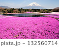 富士芝桜まつりのピンクの芝桜を前に富士山 132560714
