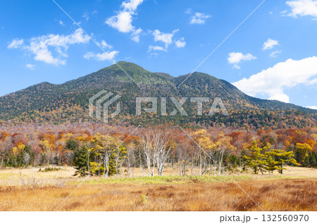 群馬県片品村尾瀬ヶ原から望む紅葉と燧ケ岳 132560970