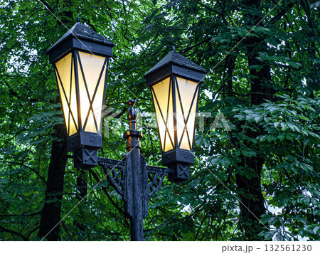 Lanterns in the evening park on a rainy autumn day Lanterns in the evening park on a rainy autumn day 132561230