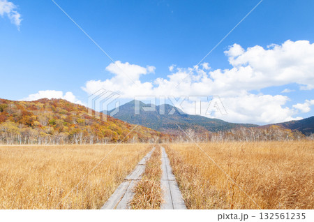 群馬県片品村尾瀬ヶ原から望む紅葉と燧ヶ岳 132561235