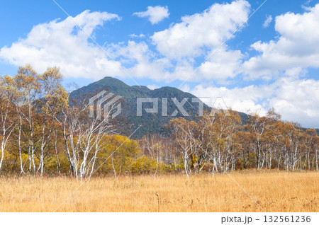 群馬県片品村尾瀬ヶ原から望む紅葉と燧ヶ岳 132561236