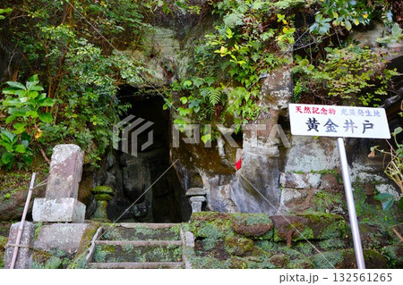 竹岡のヒカリモ発生地(千葉県富津市萩生) 竹岡のヒカリモ発生地(千葉県富津市萩生) 132561265