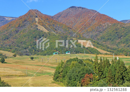 秋の栂池高原スキー場 132561288