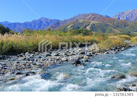 白馬山麓の秋 132561365