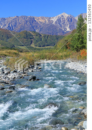 白馬山麓の秋 132561450