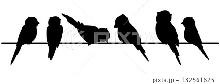 Birds sitting on electric wires. Animals fowl. Cute avian group sit in line on rope. Ornithology and birdwatching. Chickadee on cable. Vector set of black silhouettes on white background Birds sitting on electric wires. Animals fowl. Cute avian group sit in line on rope. Ornithology and birdwatching. Chickadee on cable. Vector set of black silhouettes on white background 132561625