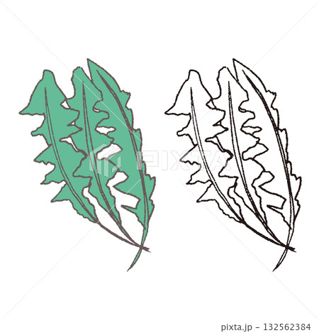 手描きのなずな 132562384