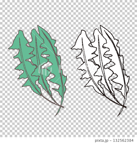 手描きのなずな 132562384