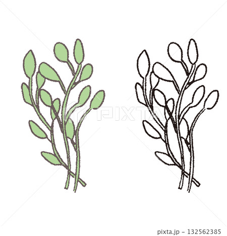 手描きのはこべら 132562385