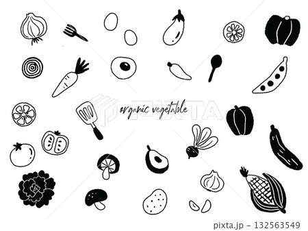 シンプルな手描きの野菜線画イラスト 132563549