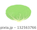 シンプルなキャベツのイラスト、白バック 132563766