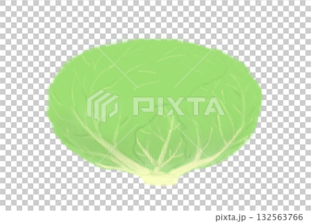 簡單的捲心菜插圖,白色背景 簡單的捲心菜插圖,白色背景 132563766
