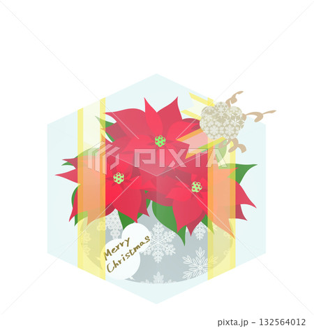 贈り物_ポインセチアのイラスト 贈り物_ポインセチアのイラスト 132564012