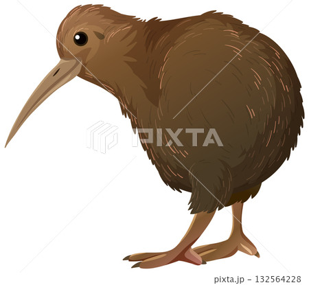 Brown Kiwi Bird Standing Side View Vector Illustration Brown Kiwi Bird Standing Side View Vector Illustration 132564228