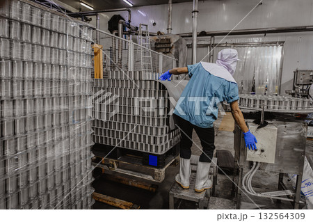 Can factory, Cannery factory plant worker loading tin can food container in convey, can food factory 132564309