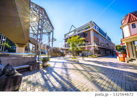 日本の横浜都市景観 横浜市営地下鉄 中川駅(東京都市大横浜キャンパス前)などを望む 132564672