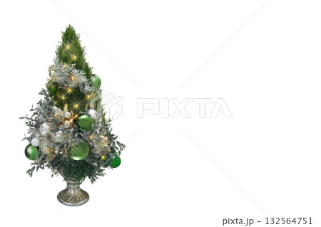 クリスマスツリー 132564751