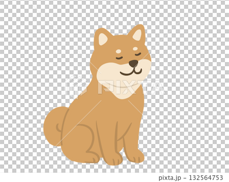 柴犬面朝前坐著的插圖 柴犬面朝前坐著的插圖 132564753