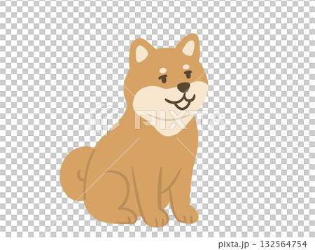 柴犬面朝前坐著的插圖 柴犬面朝前坐著的插圖 132564754