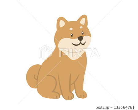 正面を向いて座る柴犬のイラスト 正面を向いて座る柴犬のイラスト 132564761