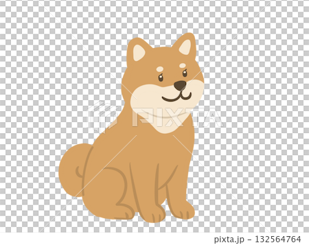 柴犬面朝前坐著的插圖 柴犬面朝前坐著的插圖 132564764