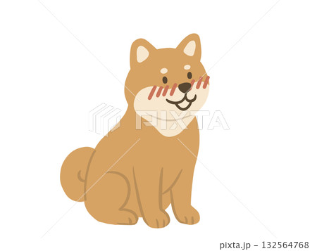 正面を向いて座る柴犬のイラスト 正面を向いて座る柴犬のイラスト 132564768