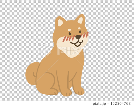 正面を向いて座る柴犬のイラスト 正面を向いて座る柴犬のイラスト 132564768