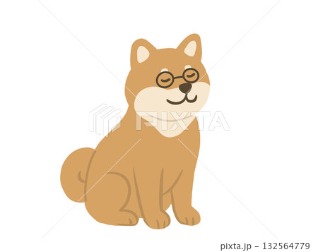 正面を向いて座る柴犬のイラスト 132564779