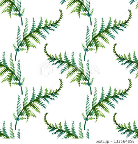 Fern Leaf Fern Leaf Hand drawn Seamless Pattern Background Illustration ,Seamless pattern with green leaves of fern, watercolor background, hand-painted, forest tropical design Fern Leaf Fern Leaf Hand drawn Seamless Pattern Background Illustration ,Seamless pattern with green leaves of fern, watercolor background, hand-painted, forest tropical design 132564859