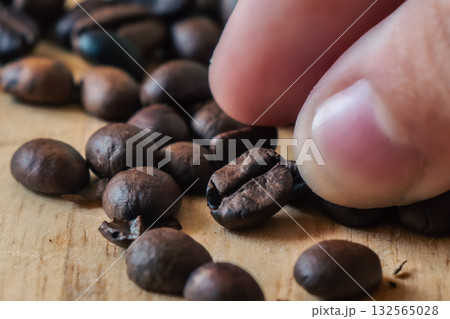 A Hand Selects a Perfect Coffee Bean. 132565028