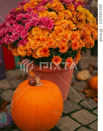Rustic Autumn Arrangement with Pumpkin and Blooms 132565200
