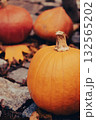 Seasonal Pumpkin Trio Outdoors Decor 132565202