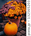 Fall Garden Scene with Pumpkin and Flowers 132565203