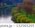 Riverside with Trees in Early Spring. 132565205