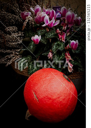 Autumn Pumpkin with Garden Flowers Autumn Pumpkin with Garden Flowers 132565215