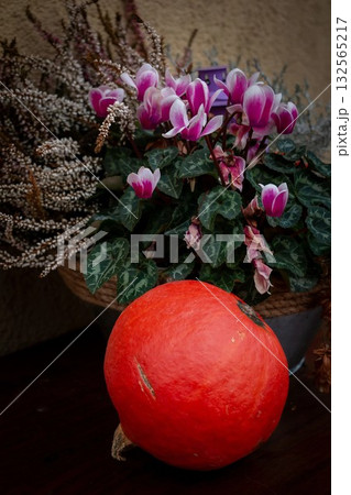 Pumpkin and Floral Composition Autumn, Pumpkin and Floral Composition Autumn, 132565217